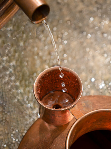 Distillation Les Plantes PaysAnne